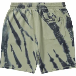 LRG Shorts Polares Roots People-Hombres Bermudas