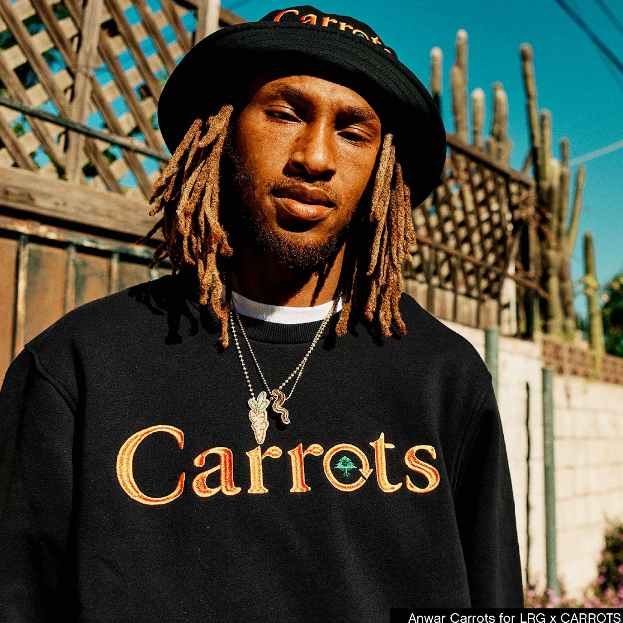LRG Sudadera Con Cuello Redondo Carrots X Cycle Woodmark-Hombres Sudaderas Con Capucha Y Sudaderas